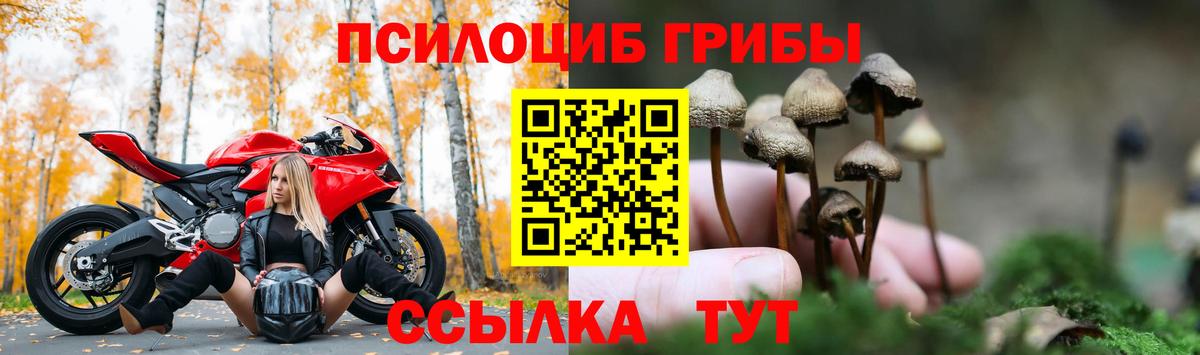 Туапсе  Галлюциногенные грибы Psilocybe  Вход с VPN  Галлюциногенные грибы прущие грибы 